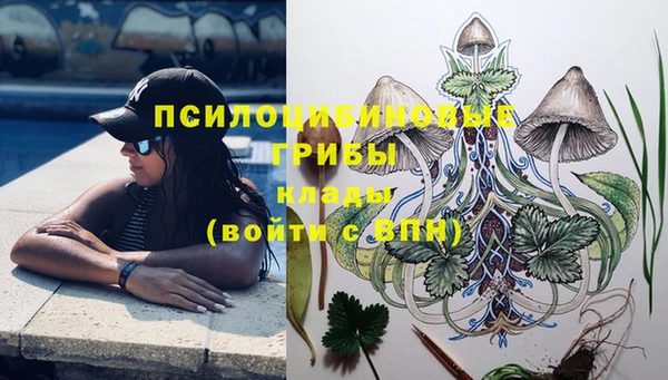 гашик Абаза