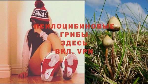 мдпв Абинск