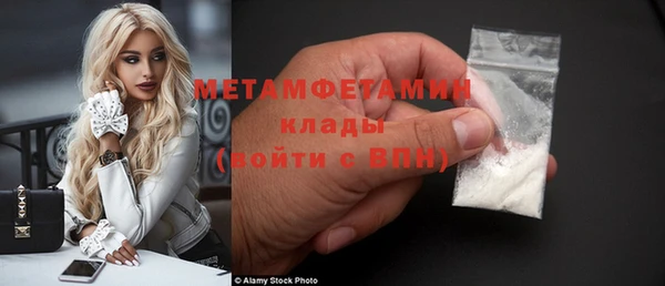 индика Вязьма