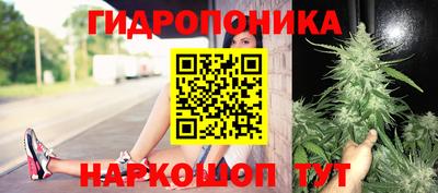 mdpv Кингисепп